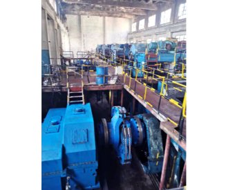 Gengma flexible coupling